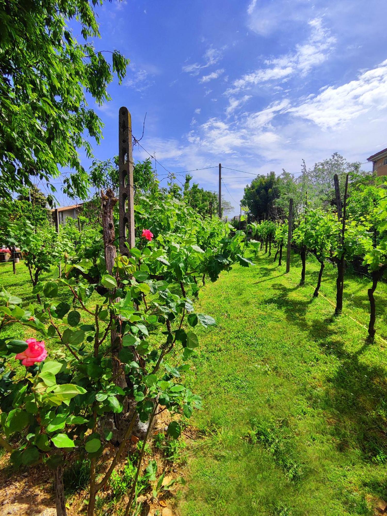 Garda Relais Antica Romelia Acomodação com café da manhã Montichiari Exterior foto