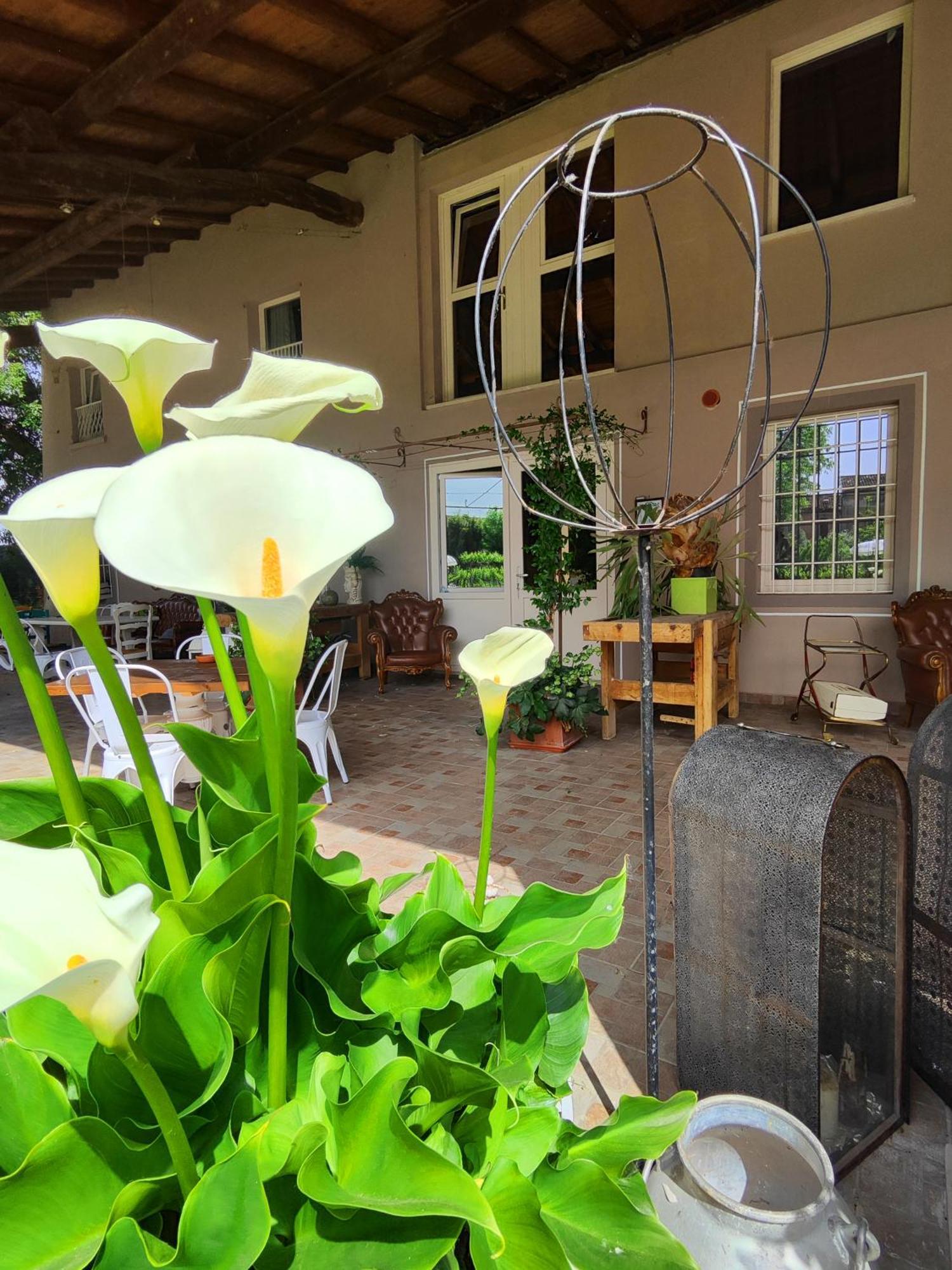 Garda Relais Antica Romelia Acomodação com café da manhã Montichiari Exterior foto